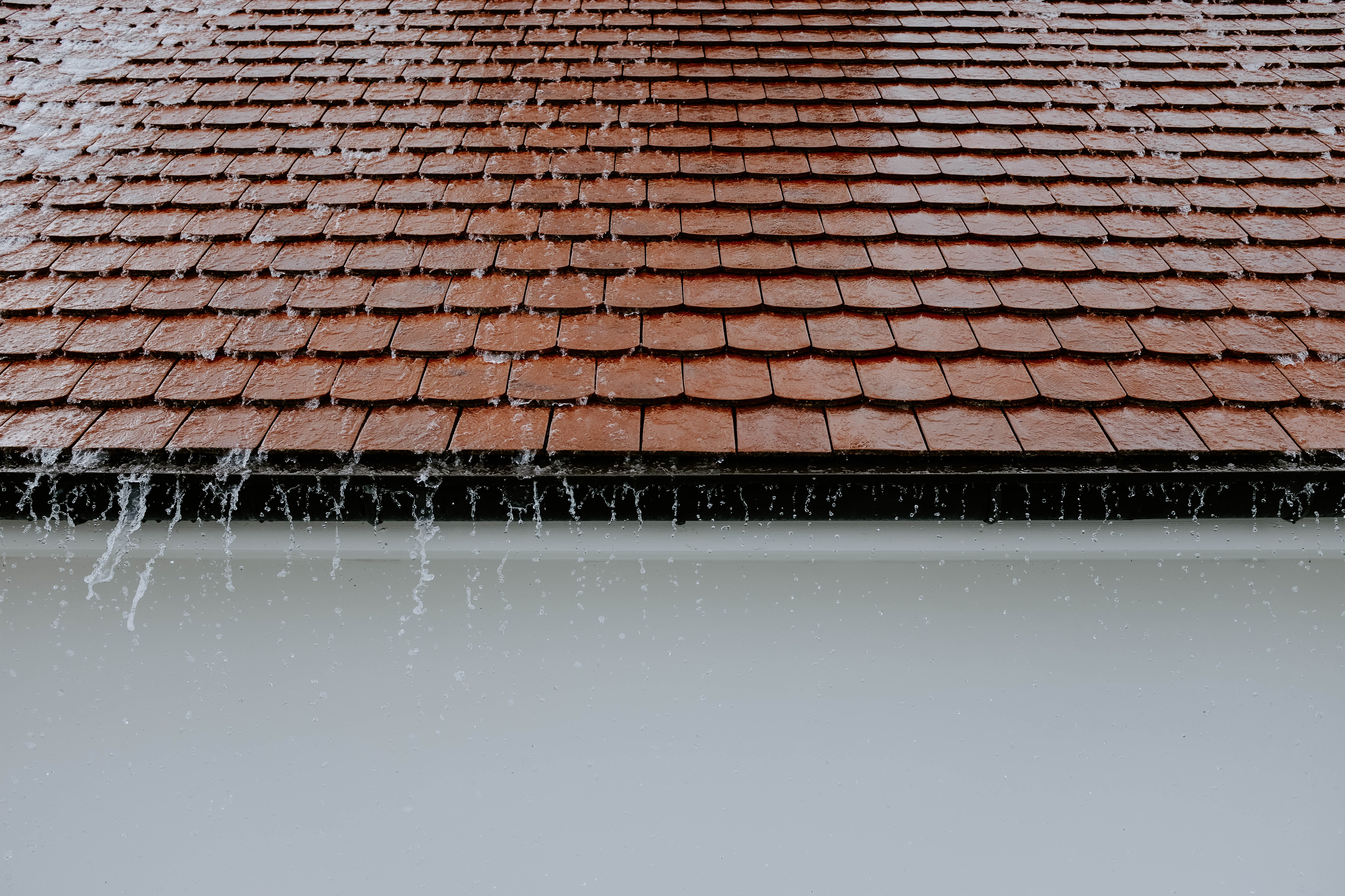 RoofandGutter.jpg
